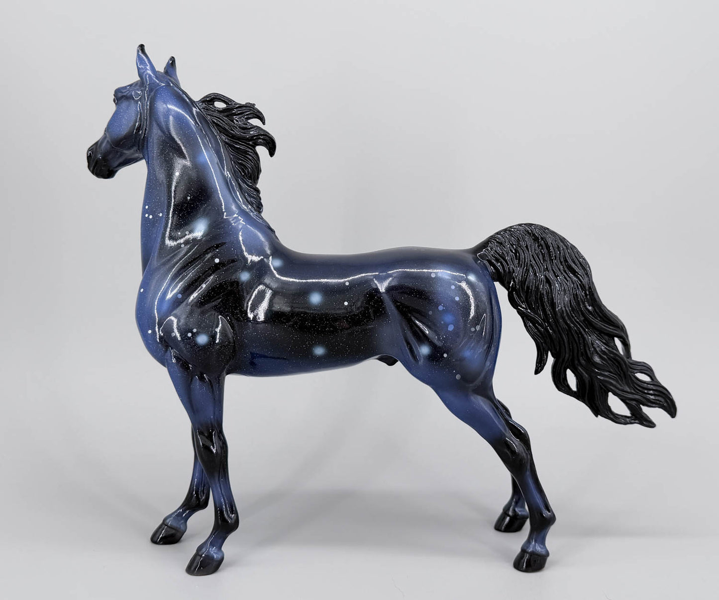 American Saddlebred Stallion ~ Odyssey - Equitana SR w/ COA
