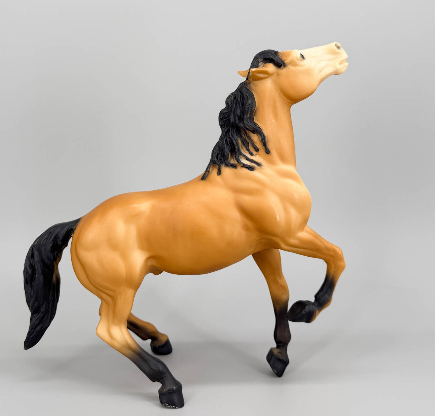 Semi-Rearing Mustang ~ Diablo, Buckskin VARIATION: Partial Dorsal Stripe