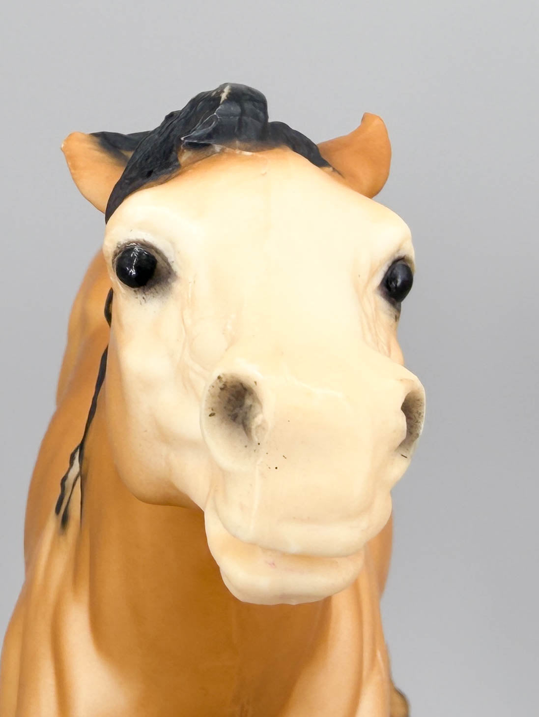 Semi-Rearing Mustang ~ Diablo, Buckskin VARIATION: Partial Dorsal Stripe