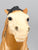 Semi-Rearing Mustang ~ Diablo, Buckskin VARIATION: Partial Dorsal Stripe