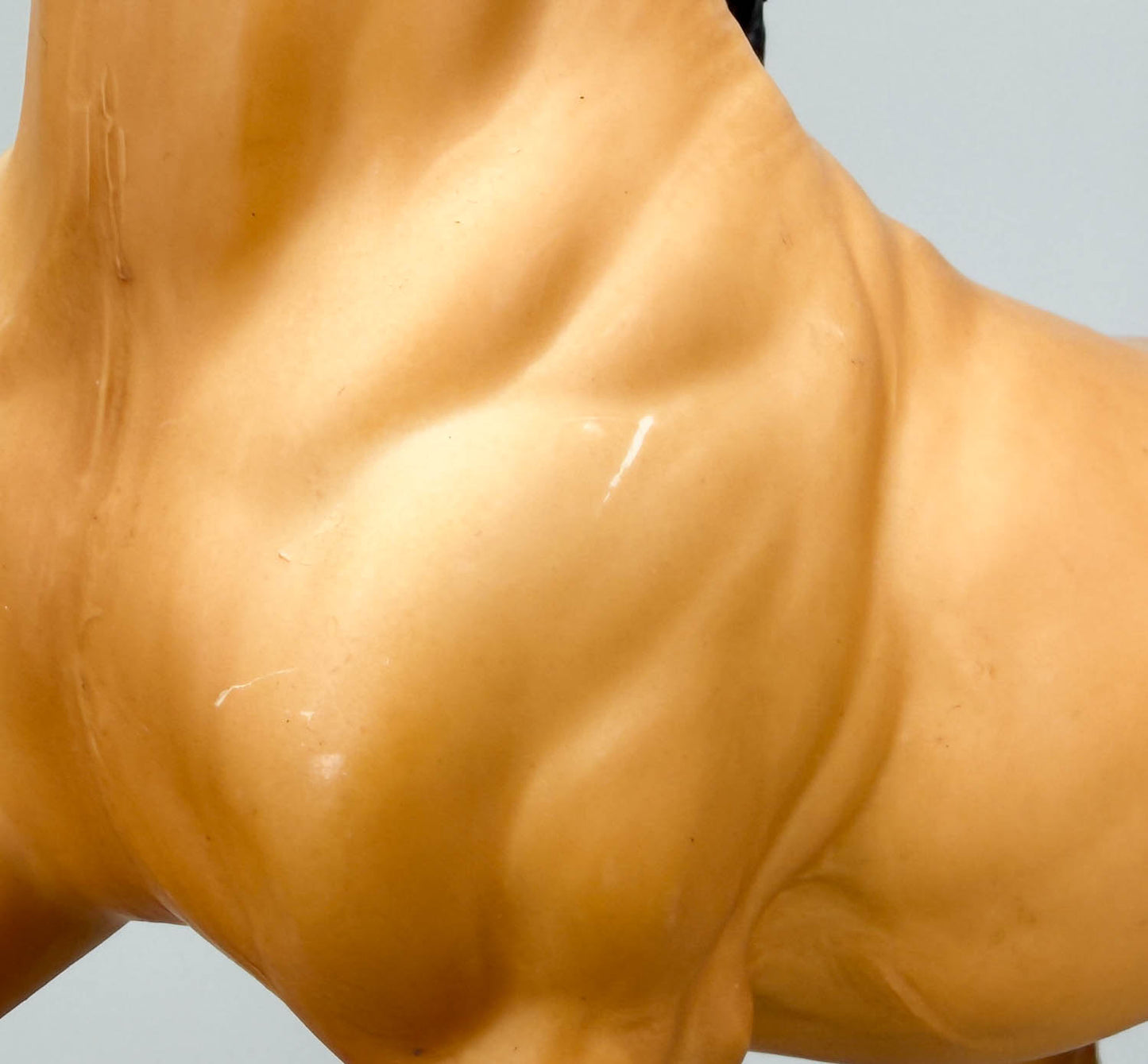 Semi-Rearing Mustang ~ Diablo, Buckskin VARIATION: Partial Dorsal Stripe