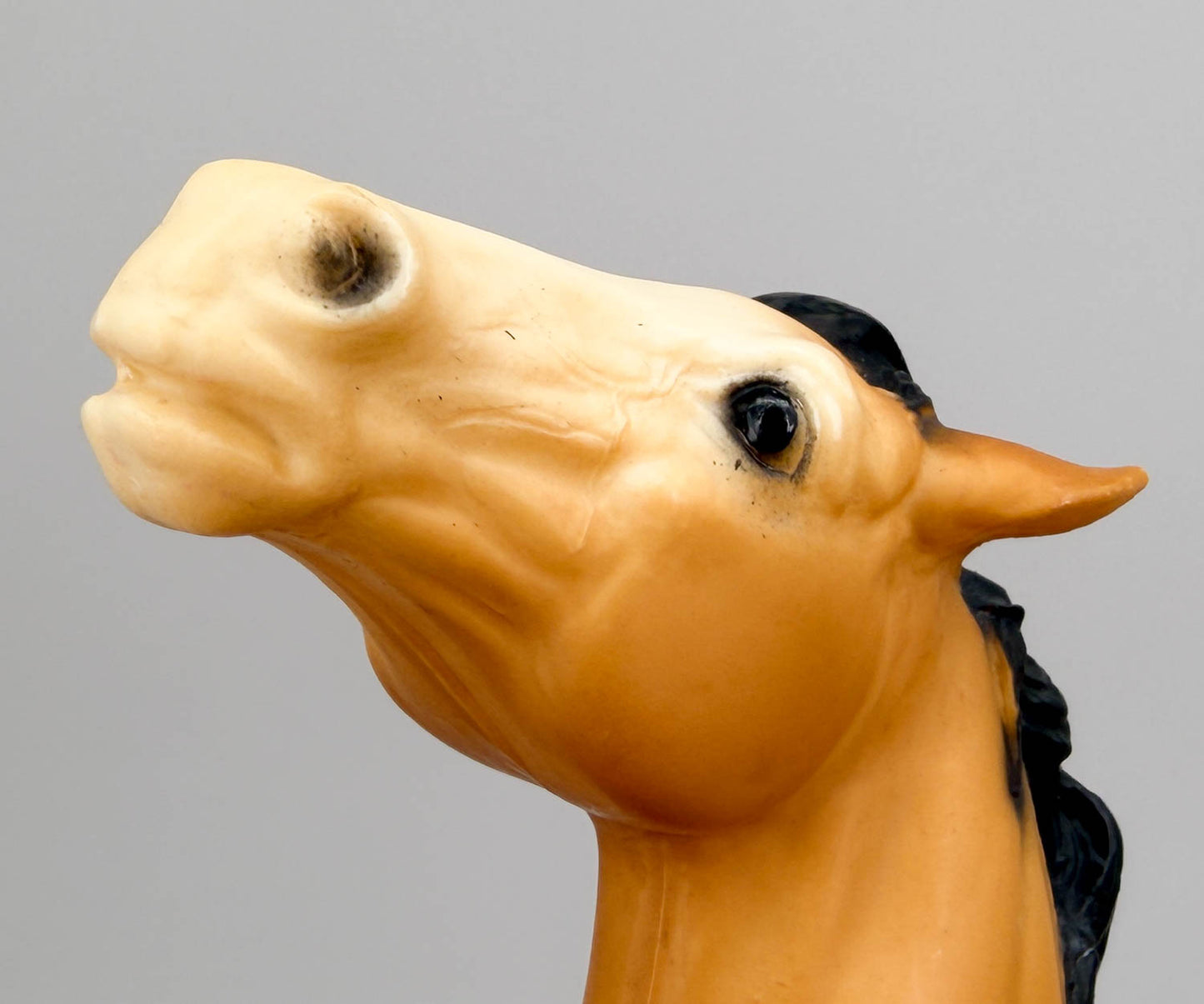Semi-Rearing Mustang ~ Diablo, Buckskin VARIATION: Partial Dorsal Stripe