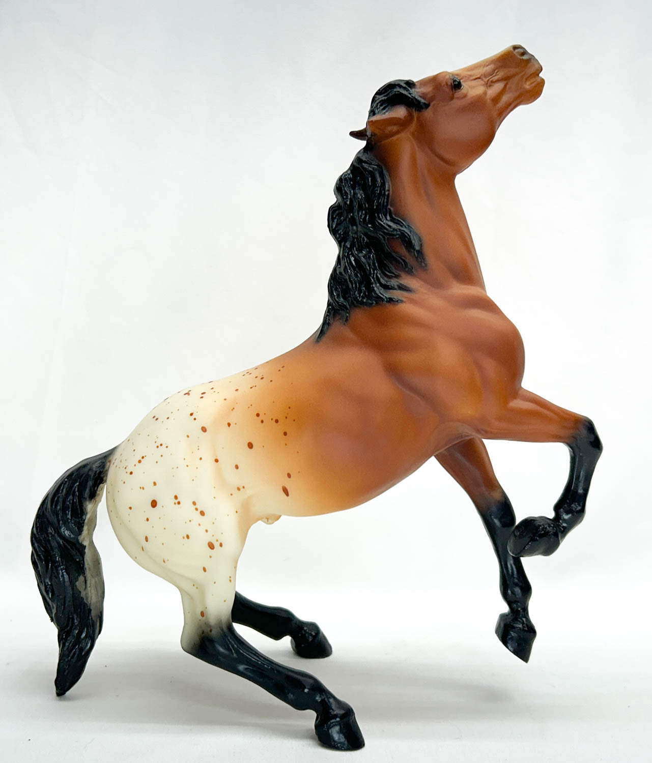 Semi-Rearing Mustang, Bay Appaloosa - BHR SR - Only 333 Made