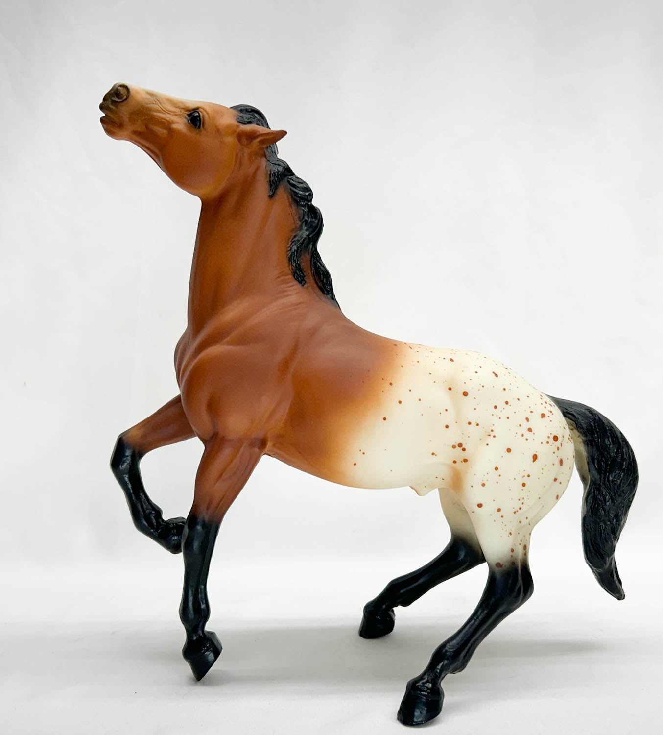 Semi-Rearing Mustang, Bay Appaloosa - BHR SR - Only 333 Made