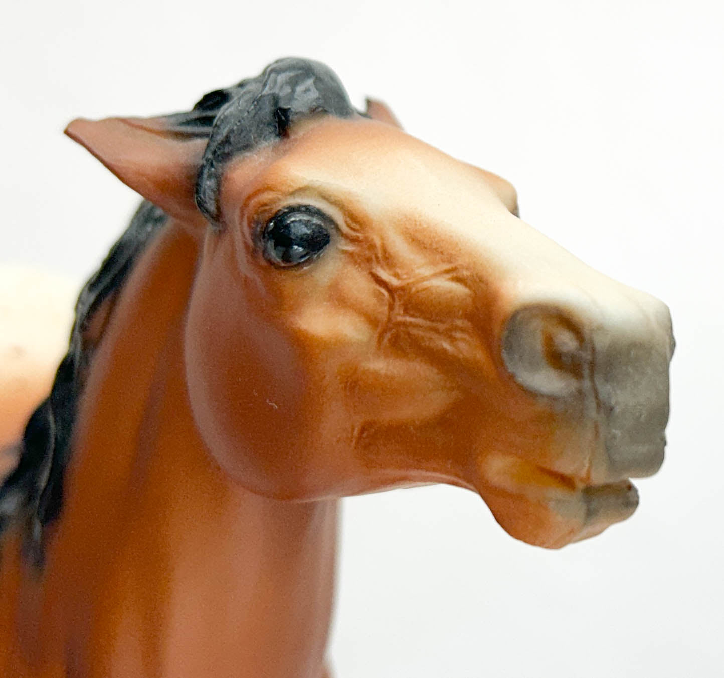 Semi-Rearing Mustang, Bay Appaloosa - BHR SR - Only 333 Made