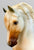 Sherman Morgan ~ Carpe Diem - The Millennium Horse - VARIATION