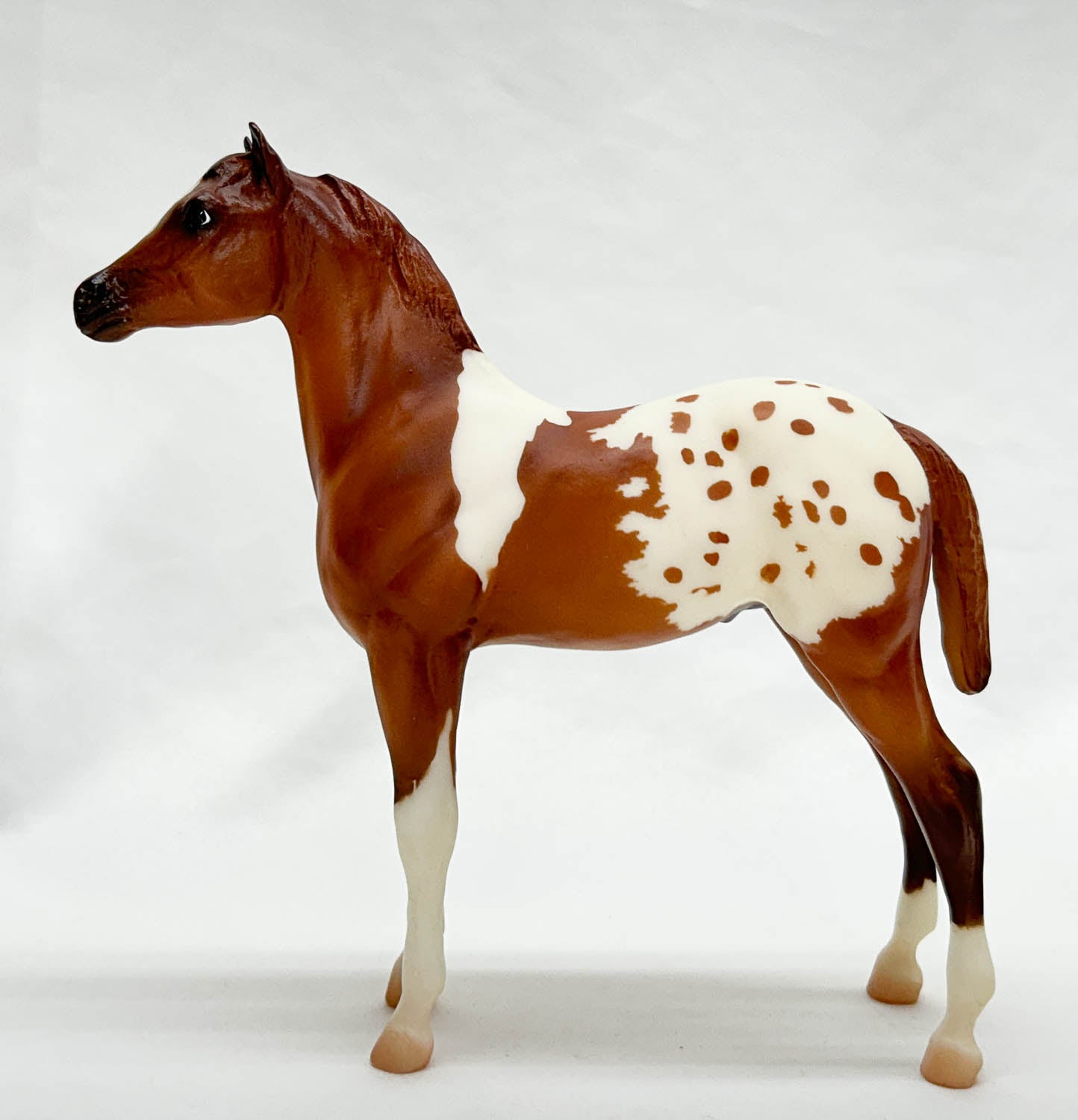 Standing Stock Horse Foal, Pintaloosa - Treasure Hunt Prize