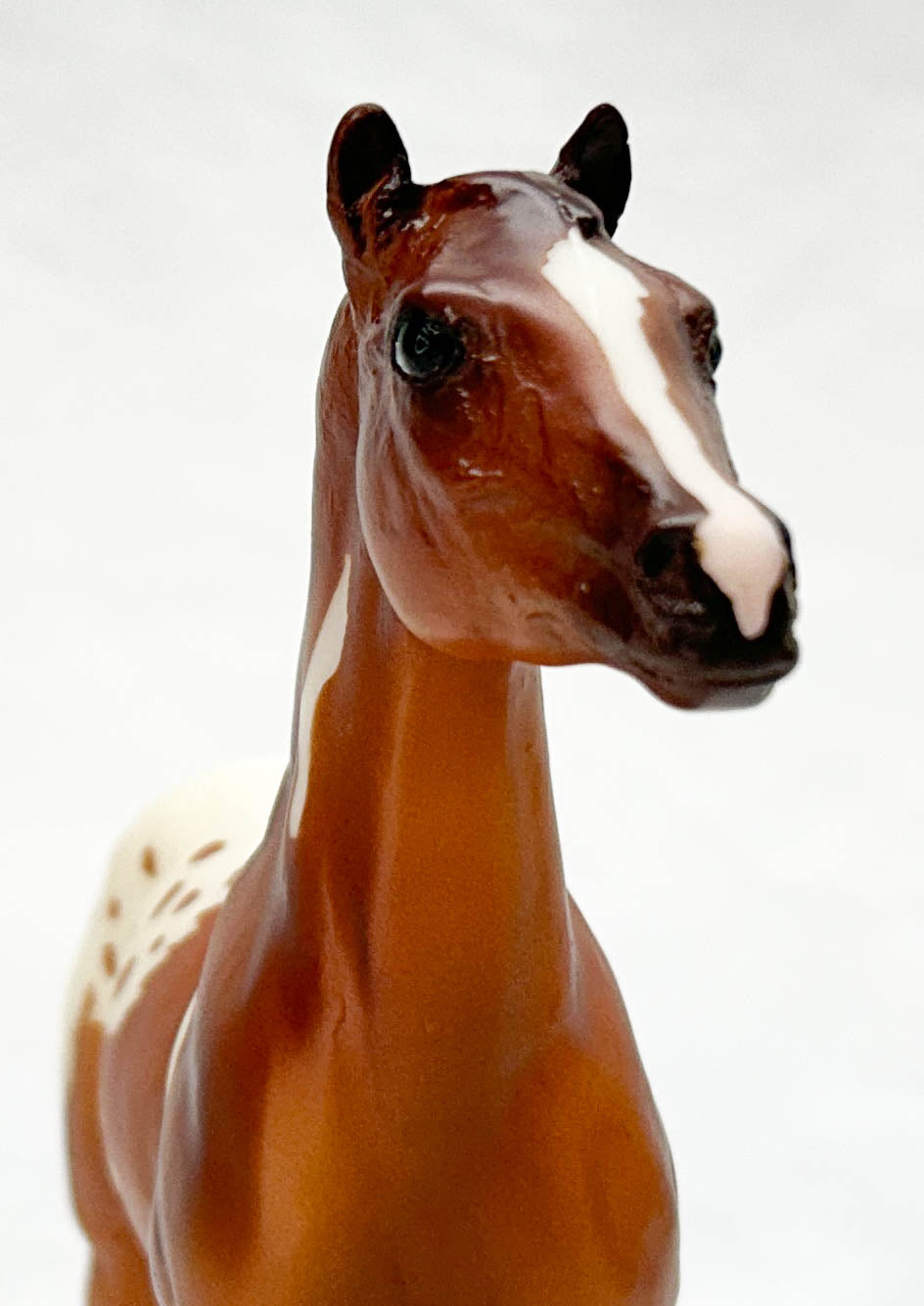 Standing Stock Horse Foal, Pintaloosa - Treasure Hunt Prize