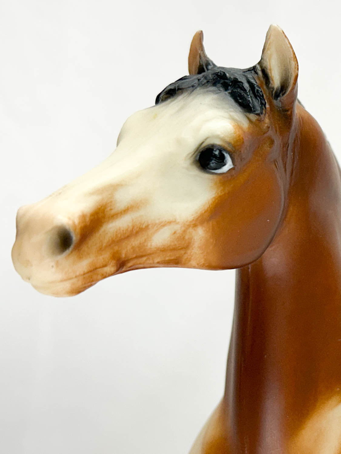 Stretch Morgan, Bay with Eye Whites