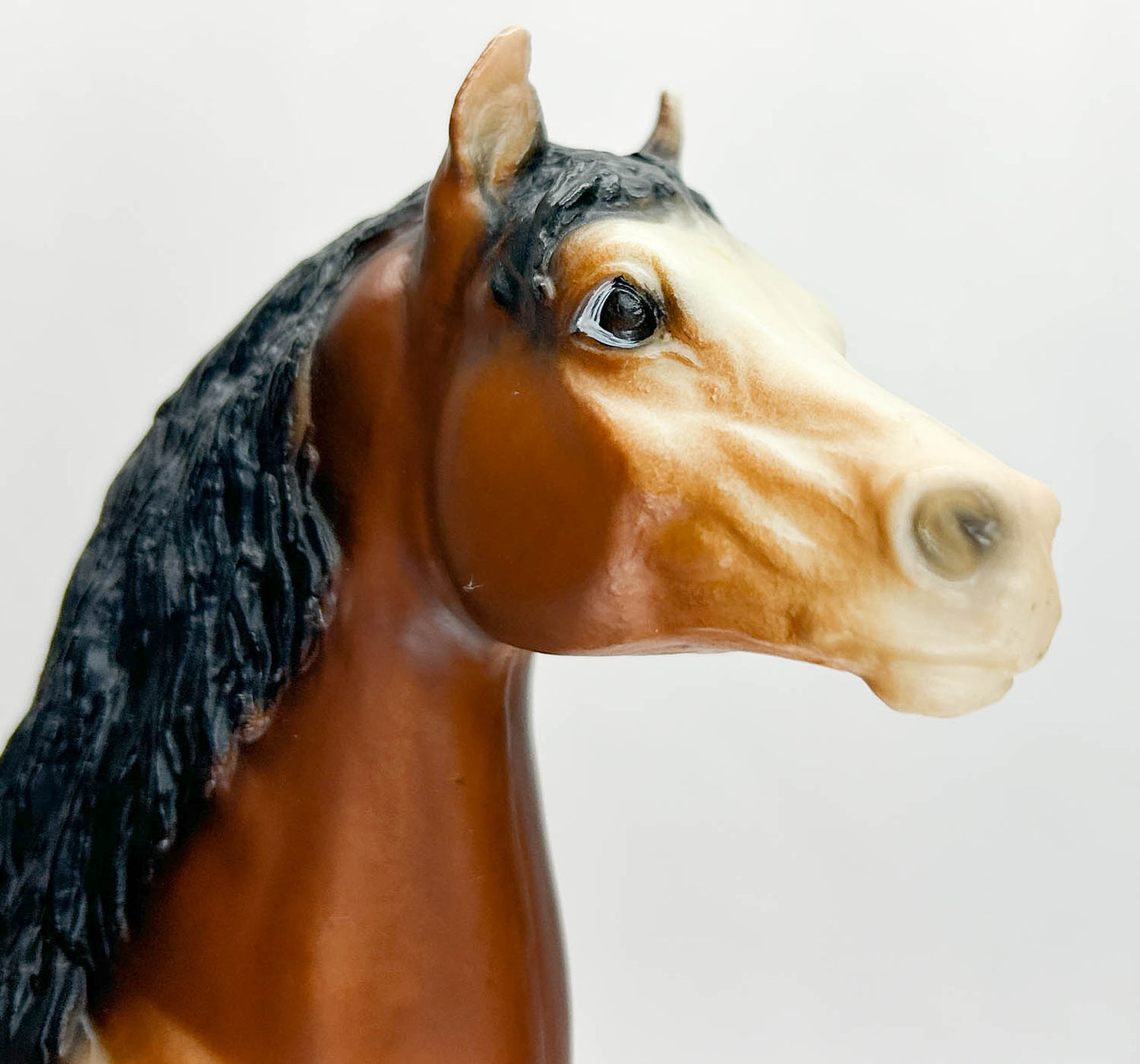 Stretch Morgan, Bay with Eye Whites