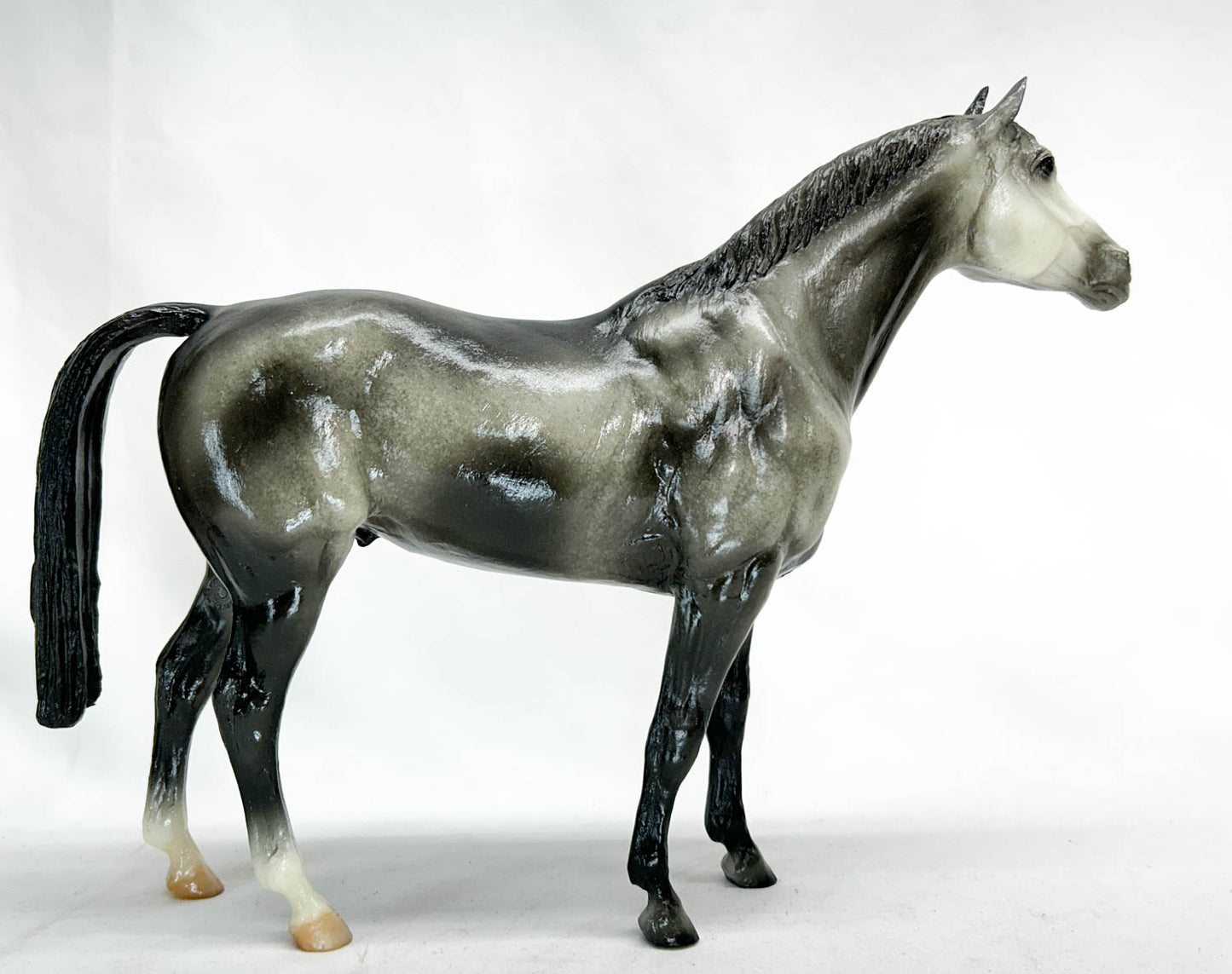 Trakehner ~ Millennium Mist - Stateline Tack SR