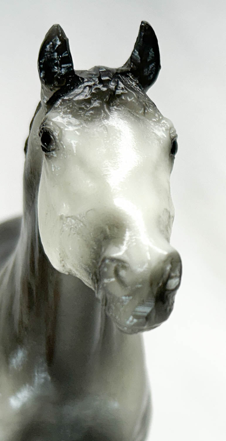 Trakehner ~ Millennium Mist - Stateline Tack SR