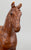 Western Pony, Woodgrain