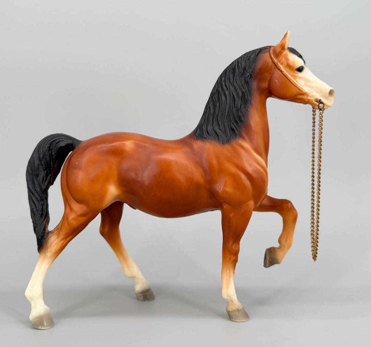 Western Prancing Horse ~ Cheyenne, Bay