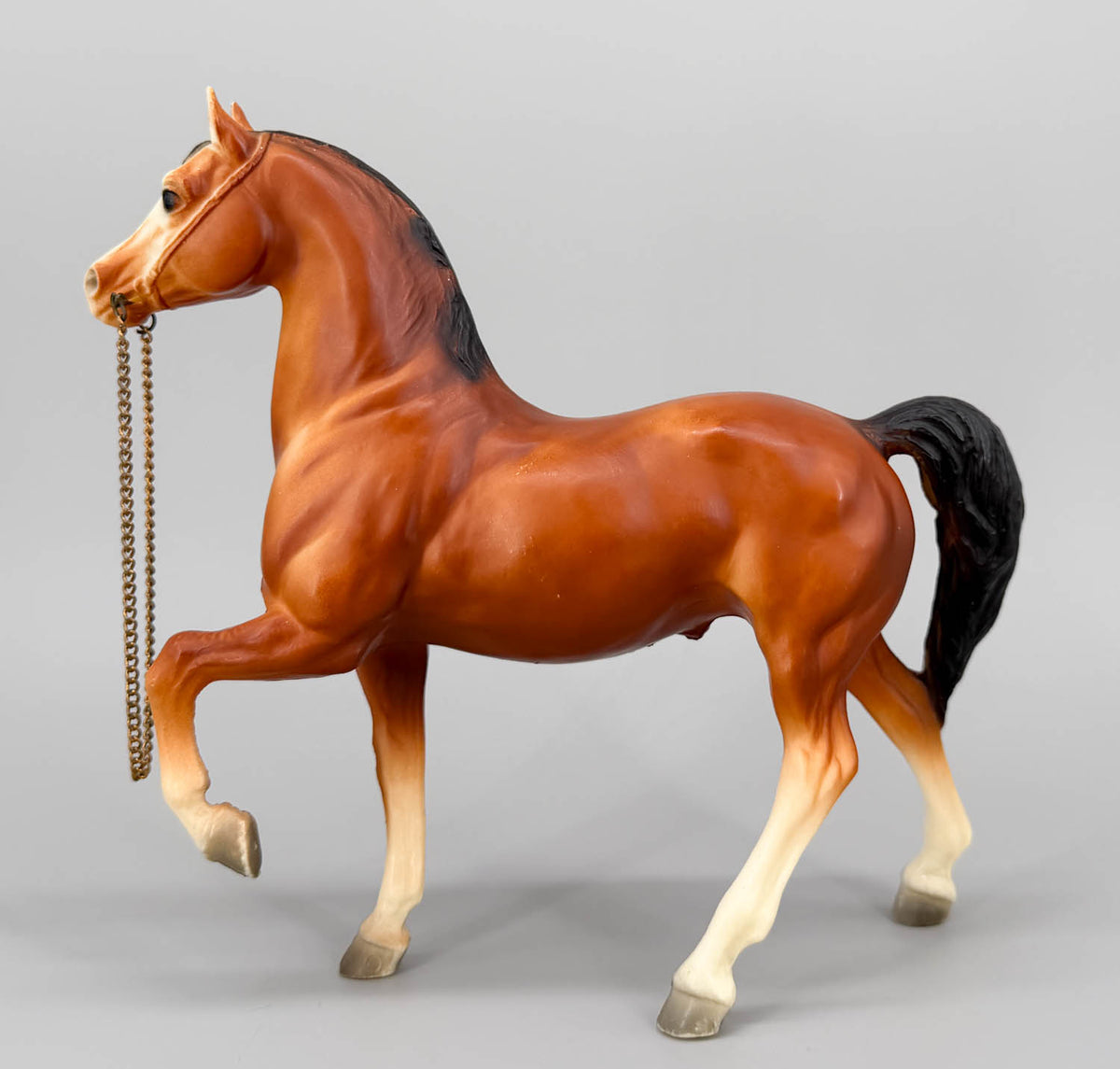 Western Prancing Horse ~ Cheyenne, Bay
