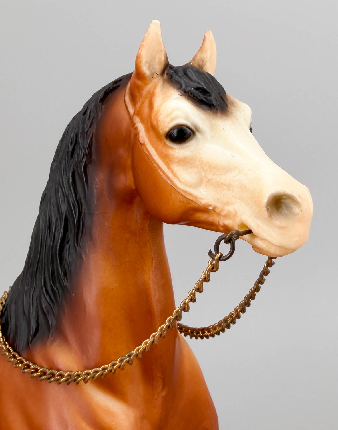 Western Prancing Horse ~ Cheyenne, Bay