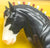 Clydesdale Stallion ~ Laddie II - Breyerfest