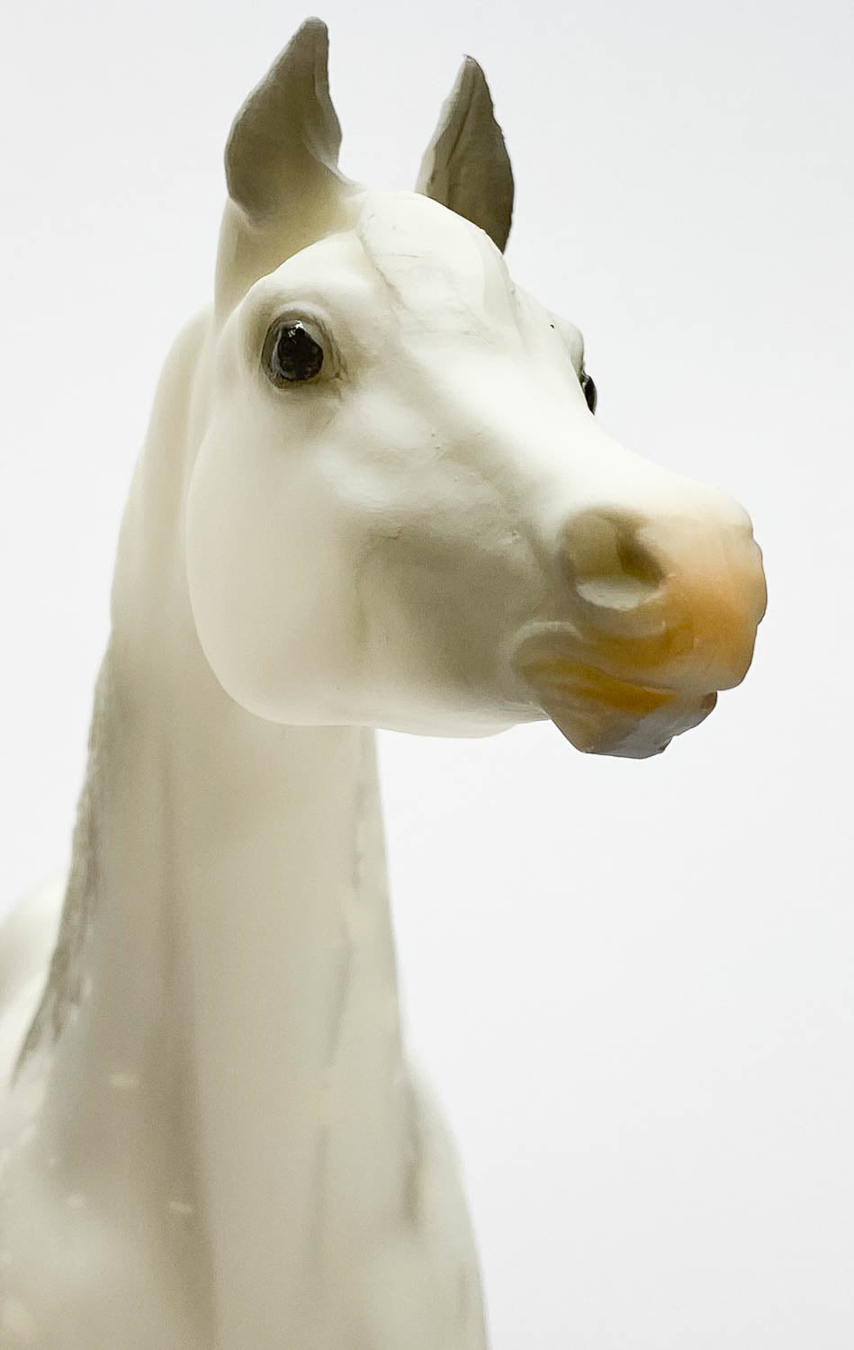 Proud Arabian Stallion, Light Dapple Grey