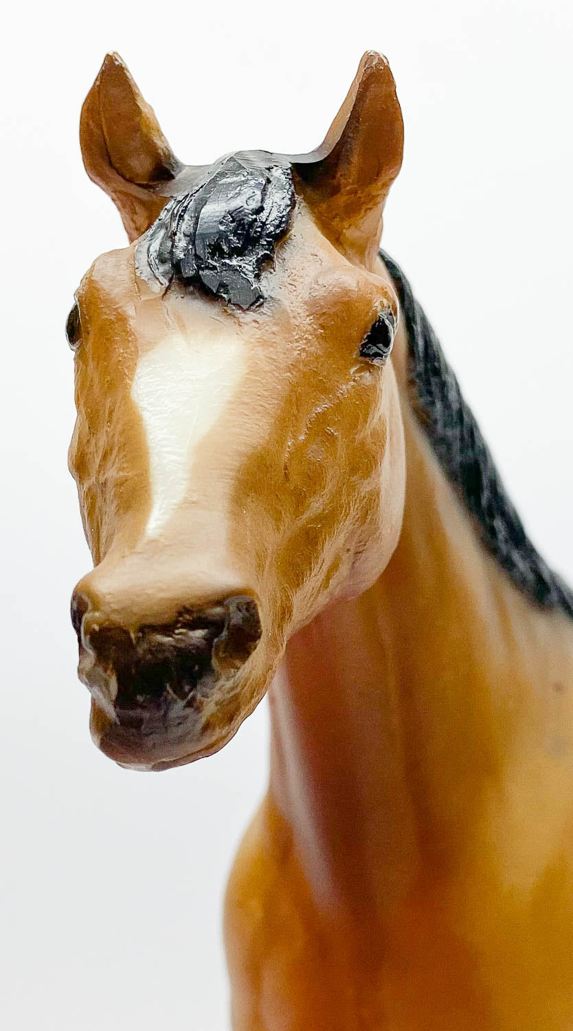 Stock Horse Stallion, Peppercorn Appaloosa - JCP SR