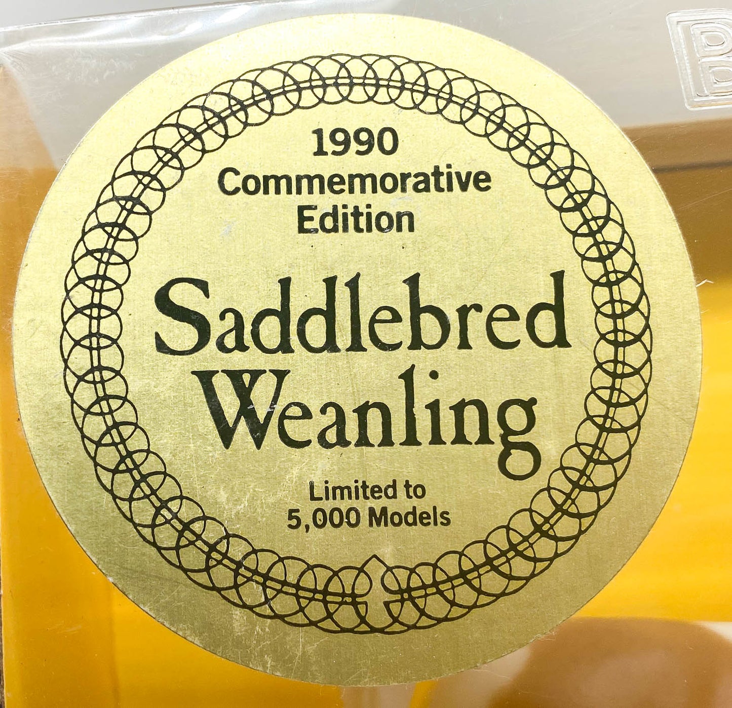 Saddlebred Weanling, Palomino Pinto