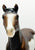 Standing Stock Horse Foal ~ Spirit of the West SR