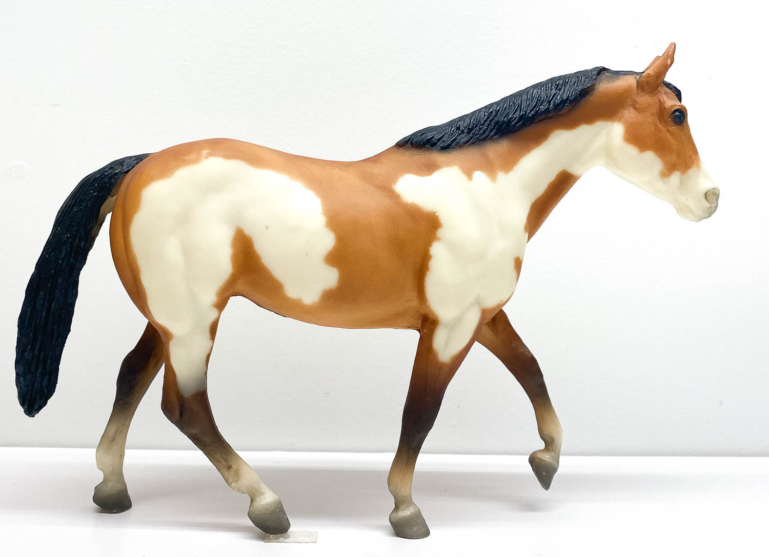 Stock Horse Mare, Bay Pinto - Early, Raised Leg Version!