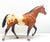 Stock Horse Stallion, Bay Appaloosa w/ Cardboard Box