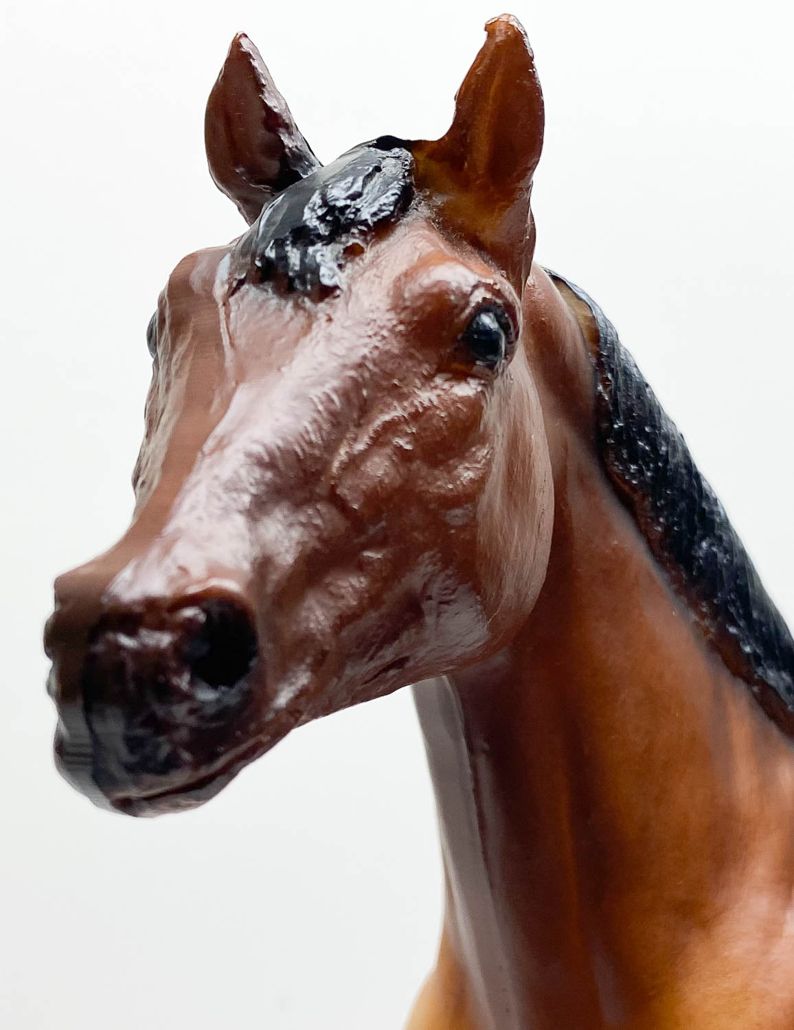 Stock Horse Stallion, Bay - B-Stamp