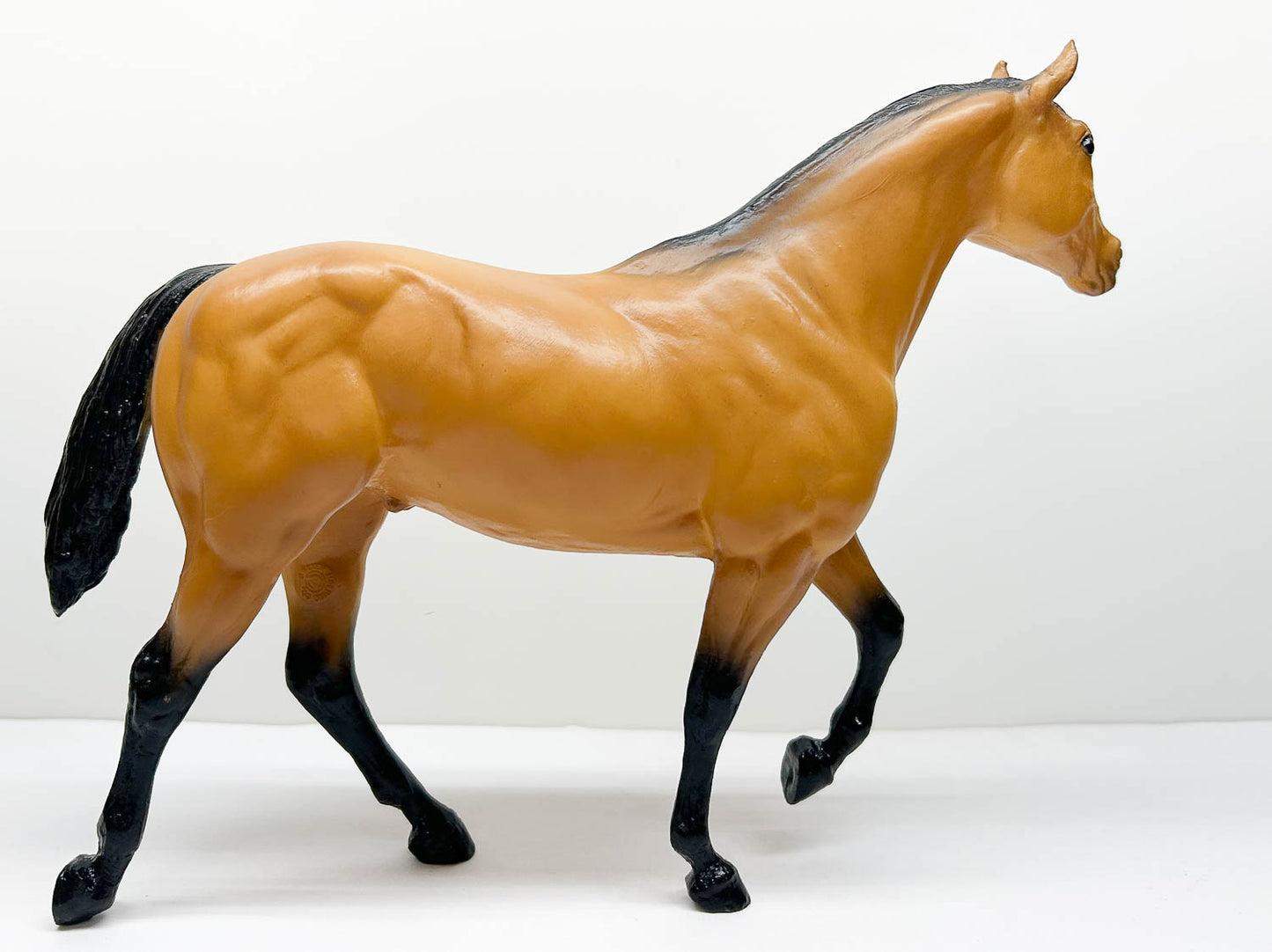 Stock Horse Stallion, Buckskin