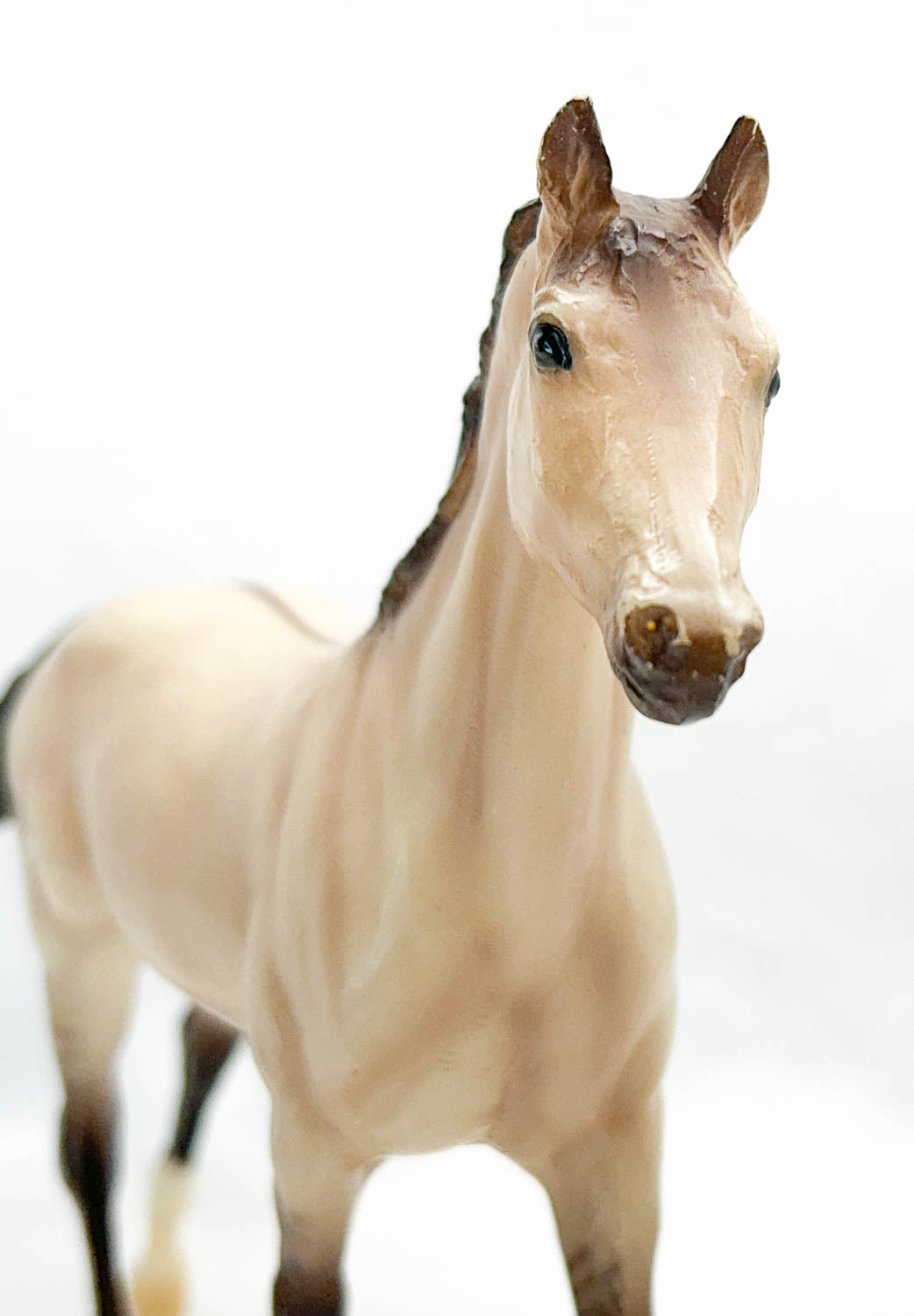 Ruffian, Buttermilk Dun - Sport Horse Family