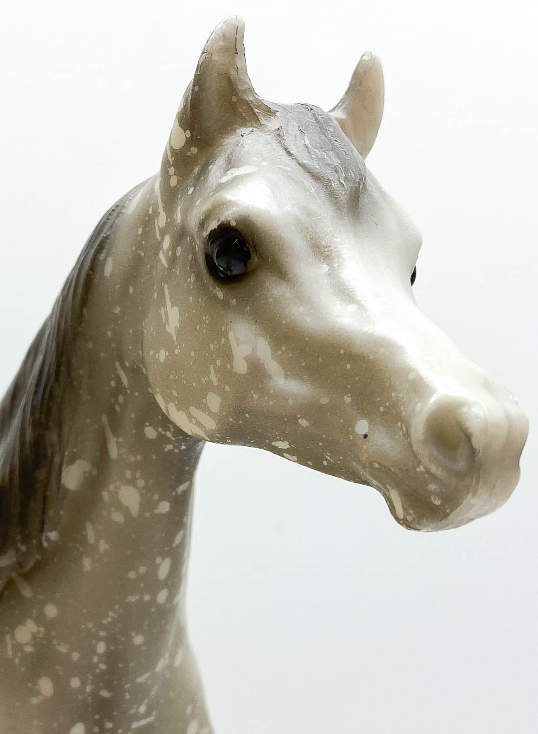 Proud Arabian Mare, Dapple Grey - Matte