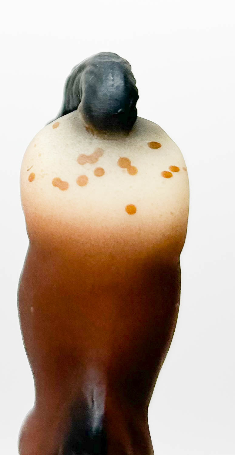 Citation ~ Bay Appaloosa - JC Penney SR