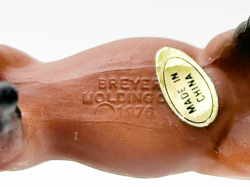 Citation ~ Bay Appaloosa - JC Penney SR