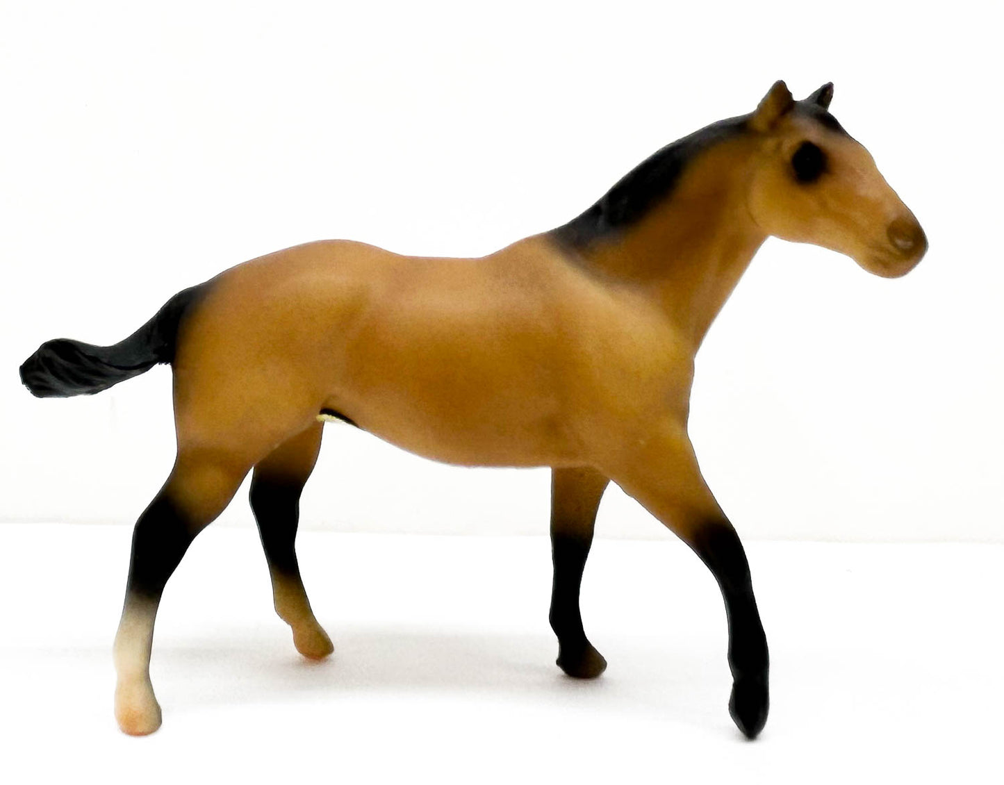 Quarter Horse Stallion, Buckskin - JC Penney SR