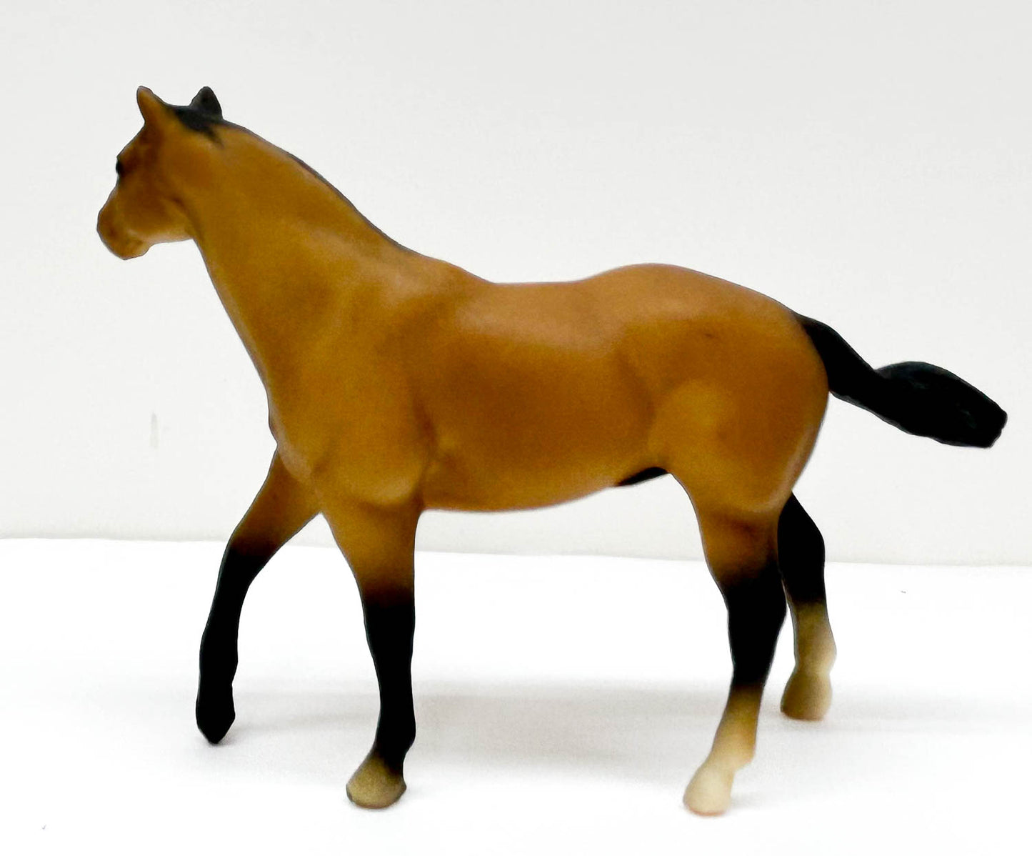 Quarter Horse Stallion, Buckskin - JC Penney SR