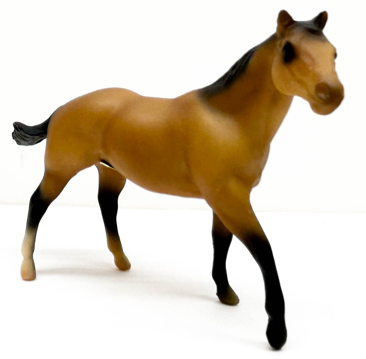 Quarter Horse Stallion, Buckskin - JC Penney SR