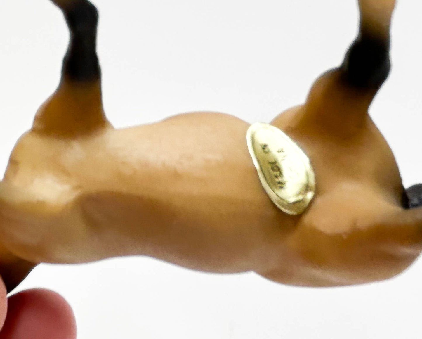 Quarter Horse Stallion, Buckskin - JC Penney SR