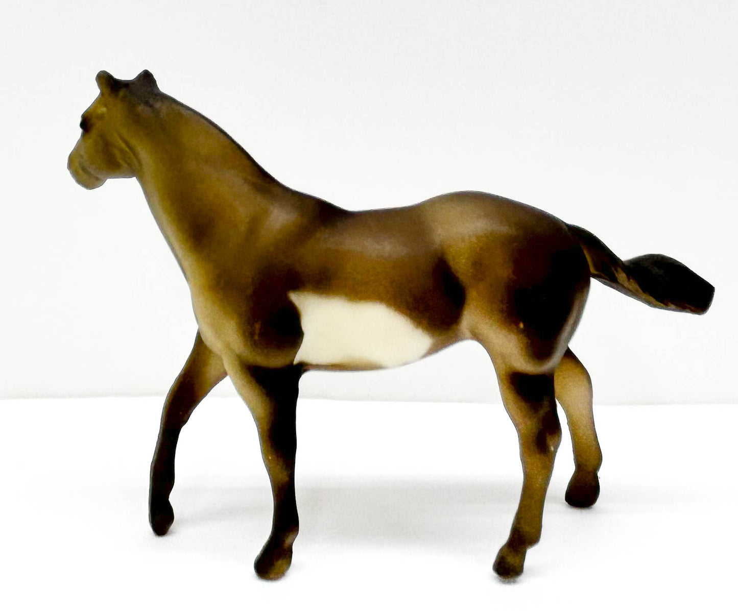 Quarter Horse Stallion, Grulla Pinto