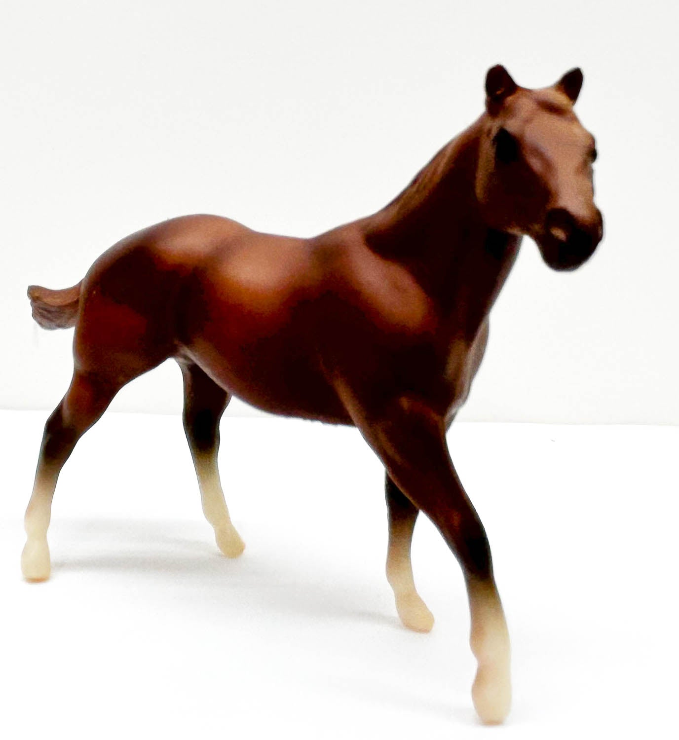 Quarter Horse Stallion, Chestnut - JC Penney SR