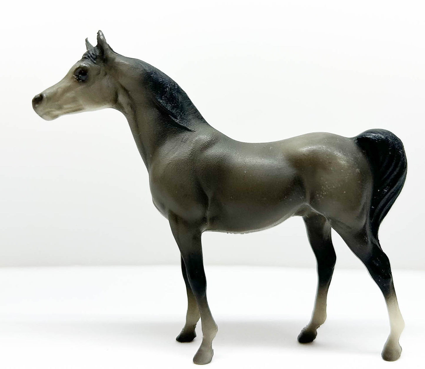 Arabian Stallion, Grey