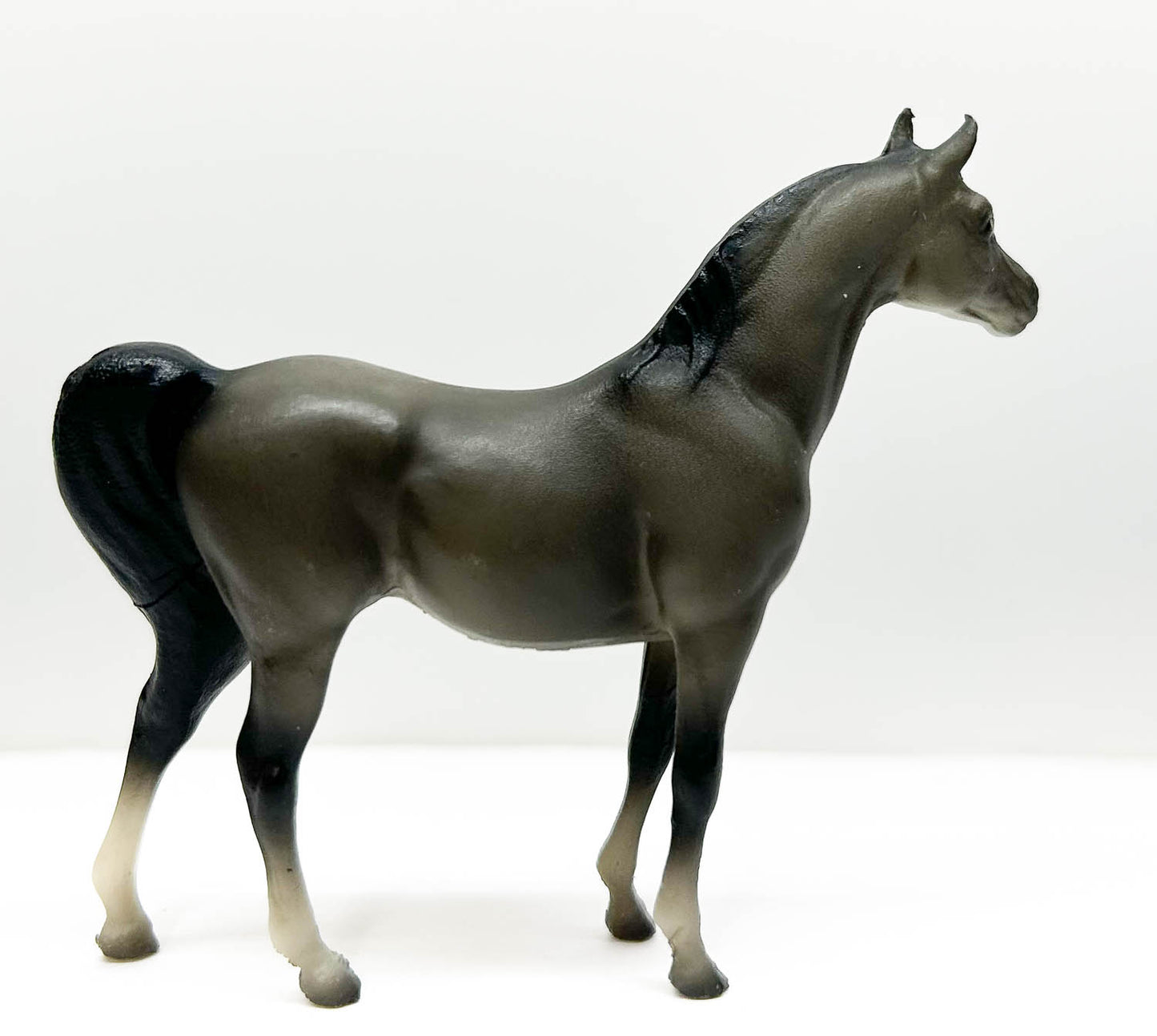 Arabian Stallion, Grey