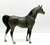 Arabian Stallion, Grey