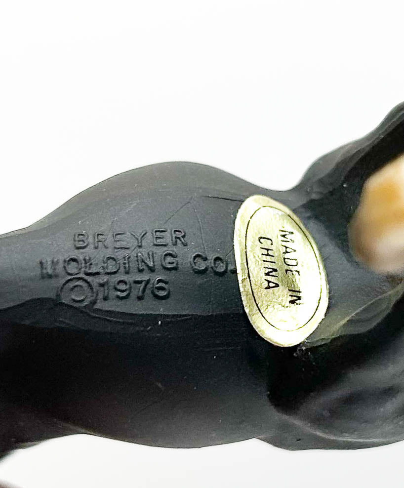 Morgan Mare, Black Liver Chestnut - JC Penney SR