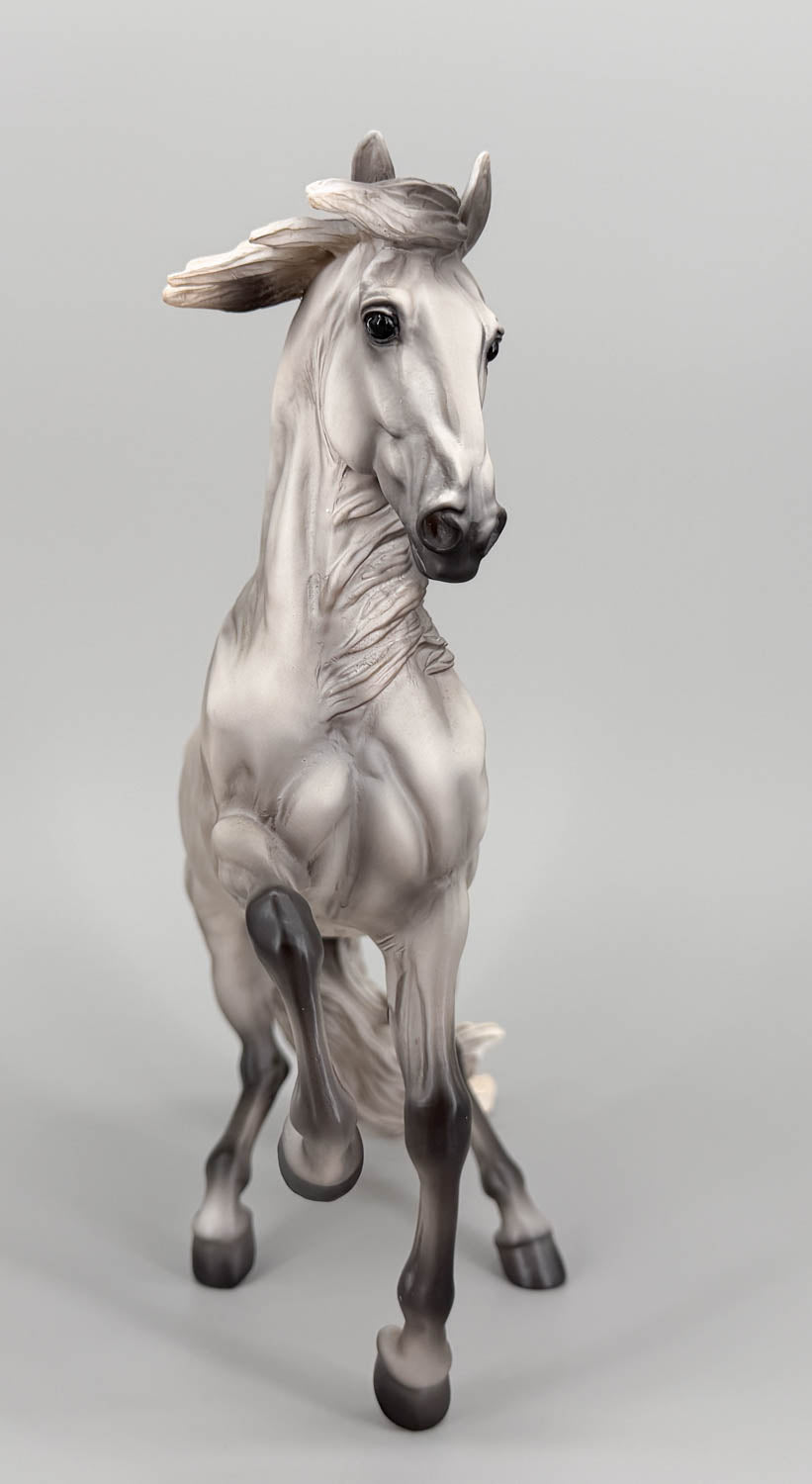 Alborozo - Breyerfest 2008 Celebration Model