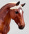 Andalusian Mare ~ Celeste - Collectors Club Special Run