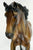 Andalusian Mare & Foal ~ Mamacita y Chico - BreyerFest SR