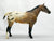 Appaloosa Performance Horse ~ Foundation Appaloosa