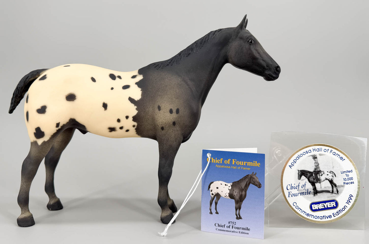 Appaloosa Performance Horse ~ Chief of Fourmile
