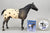 Appaloosa Performance Horse ~ Chief of Fourmile