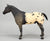 Appaloosa Performance Horse ~ Chief of Fourmile